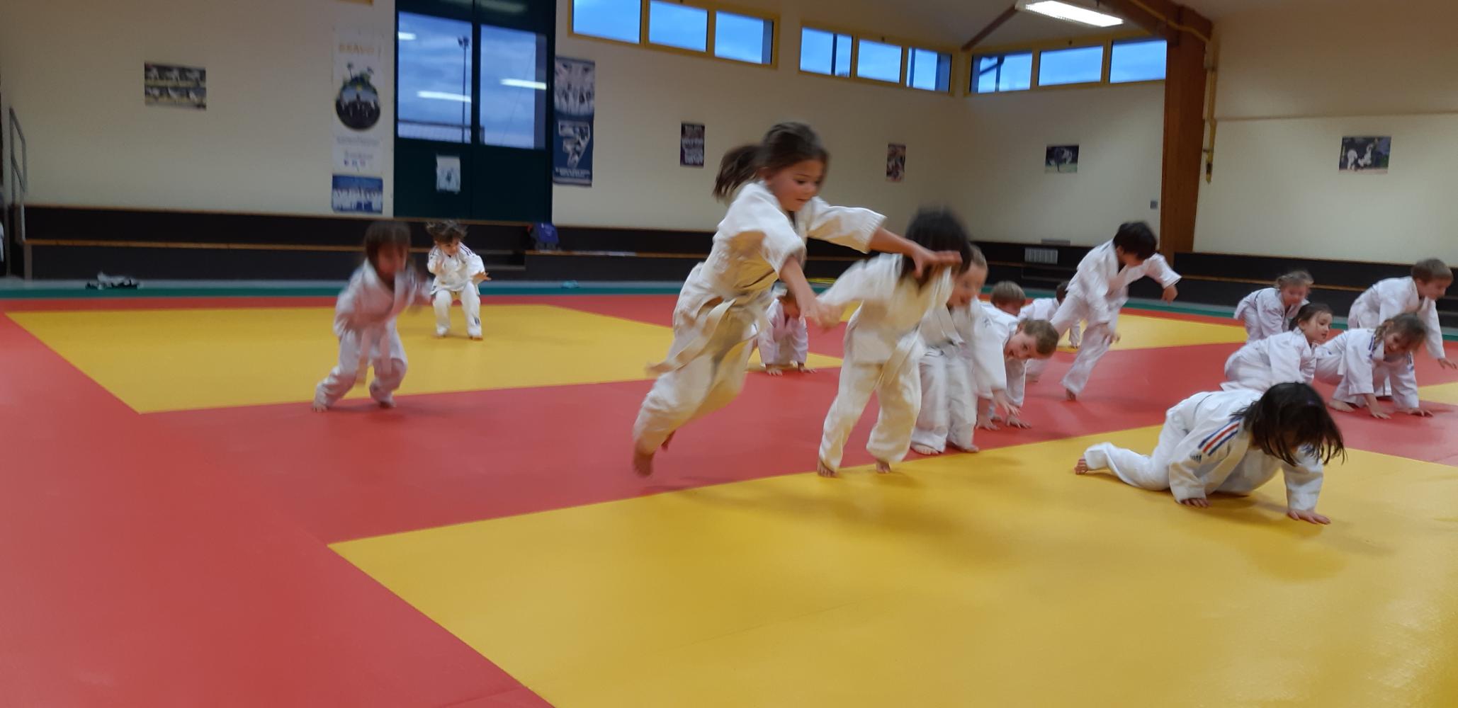 Photos petit judoka