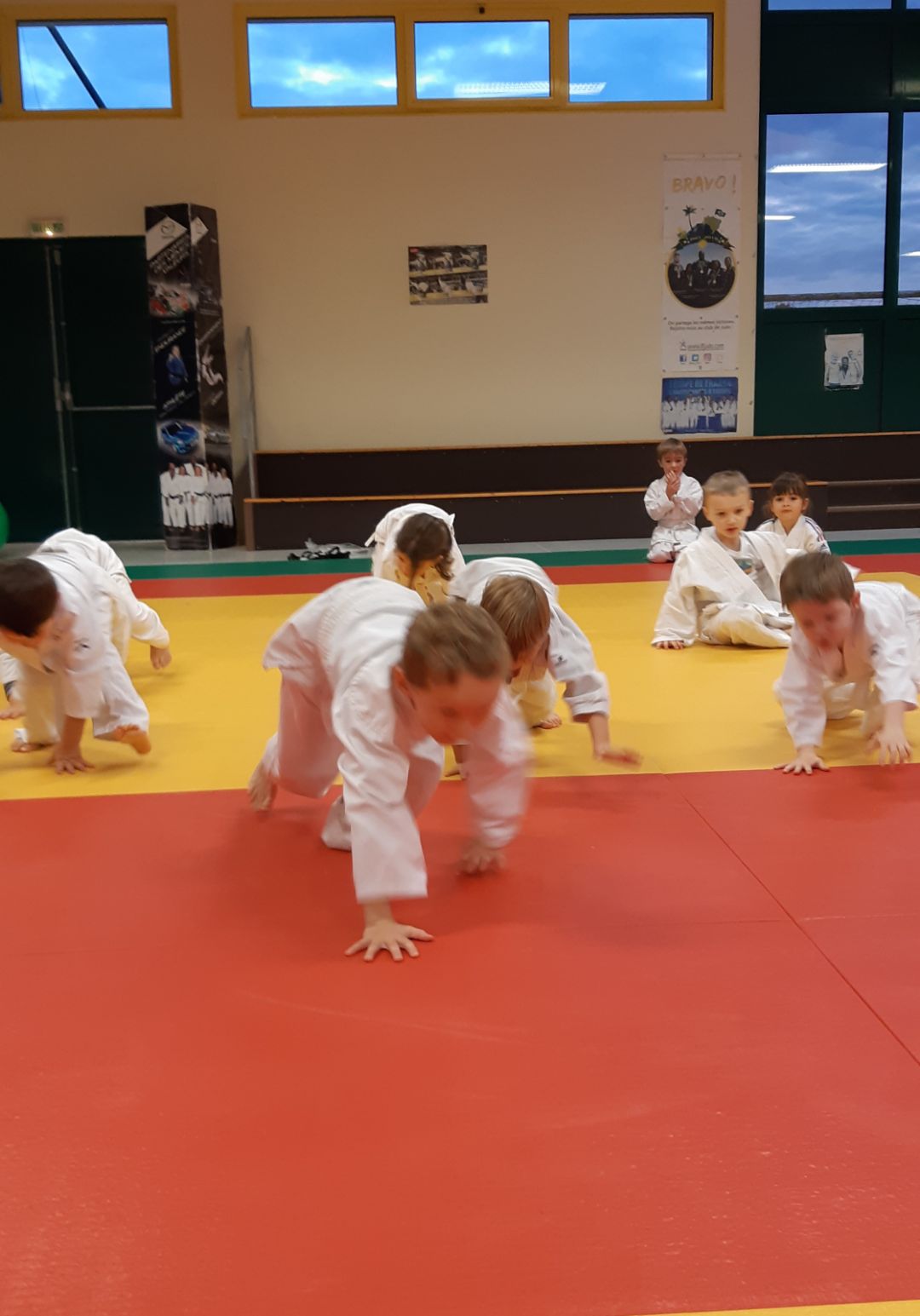 Photos petit judoka